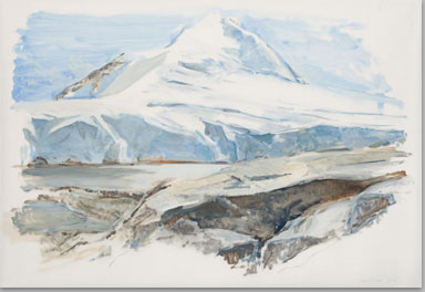 PORT LOCKROY, ANTARCTIC PENINSULA  2010, oil on Mylar, 44 x 62 in.